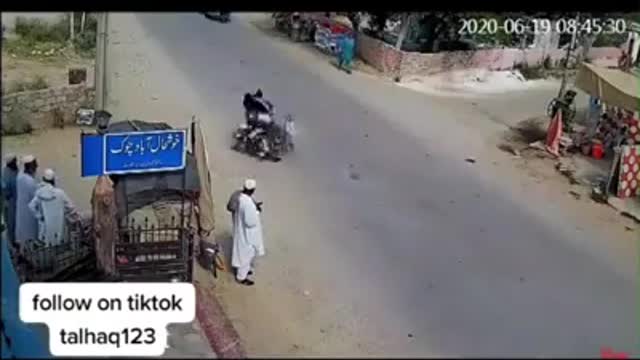 Animal gets ran over