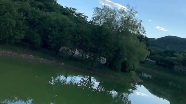 They were out by the lakeside a lot.