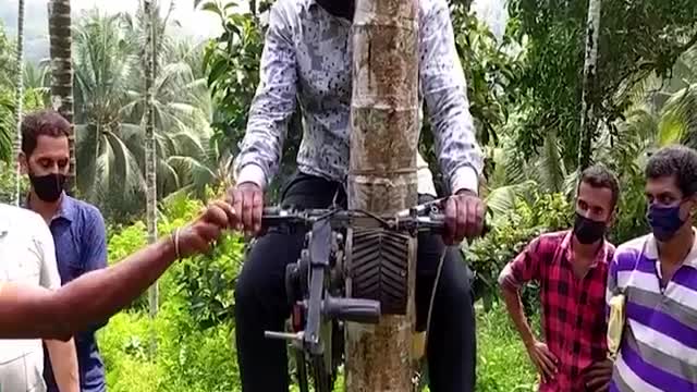 Fastest machine climbing coconut trees - Agriculture technology