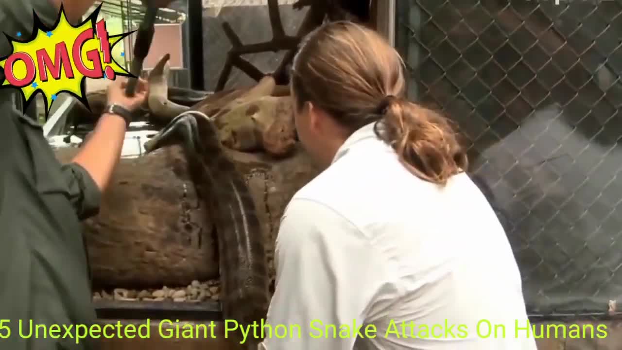 most dangerous attack by python