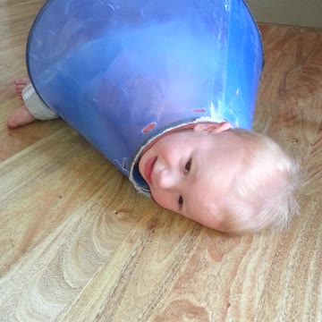 Baby Boy Stuck Backwards In Dog Cone