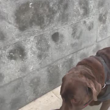 Let’s go for a walk! .#e #amagats