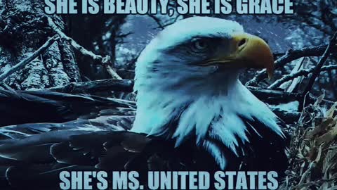 Miss united states