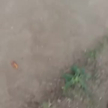 Little girl accident fell while cycling