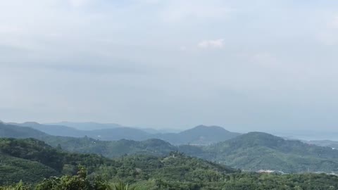 View from the Big Buddha