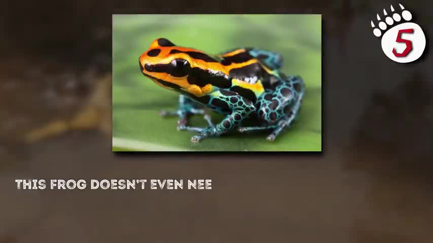 Avoid this insects once you see this...