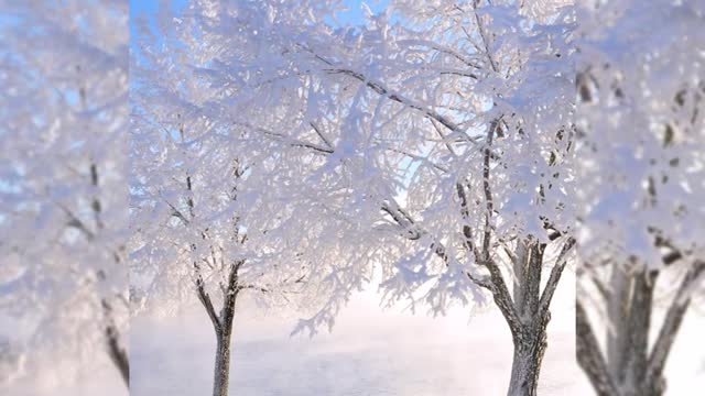 Scenic Relaxation Film With Calming Music,Top 7