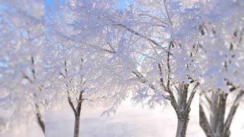 Scenic Relaxation Film With Calming Music,Top 7