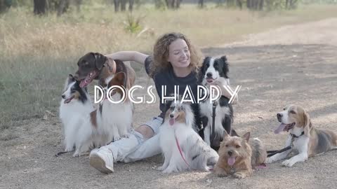 Very happy dogs d