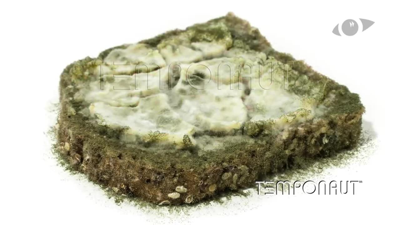 Cream Cheese Bread Time Lapse