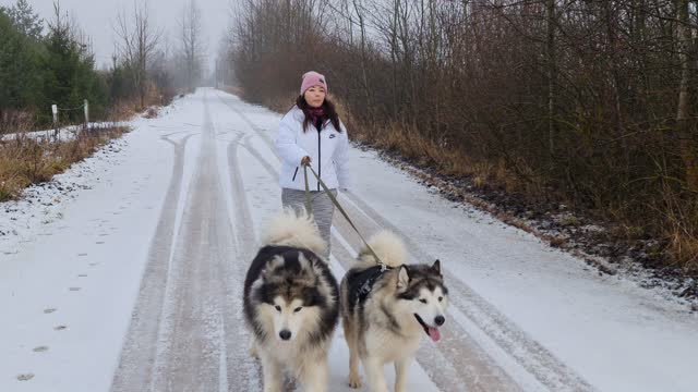 Woman Walking with Dogs