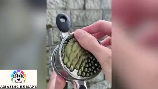 SUPER SATISFYING MOMENTS - CRAZY VIDEO COMPILATION