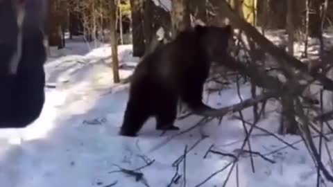 Meanwhile in Russia