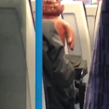 Person with orange brown monster on train