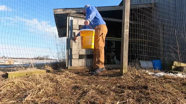 New babies on the farm!