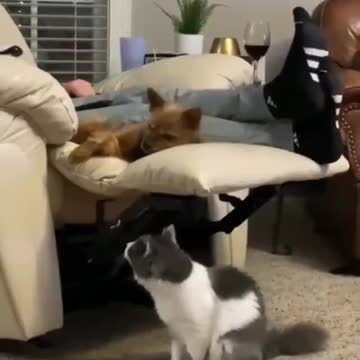 eu perturbando a única pessoa que me suporta