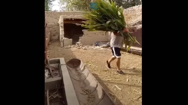 funny videos 3