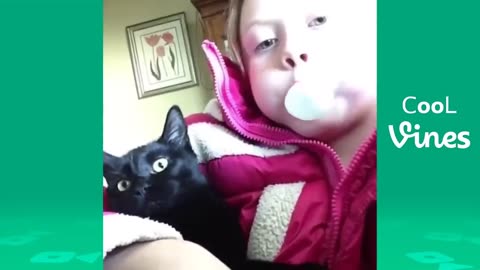 Funny animals video