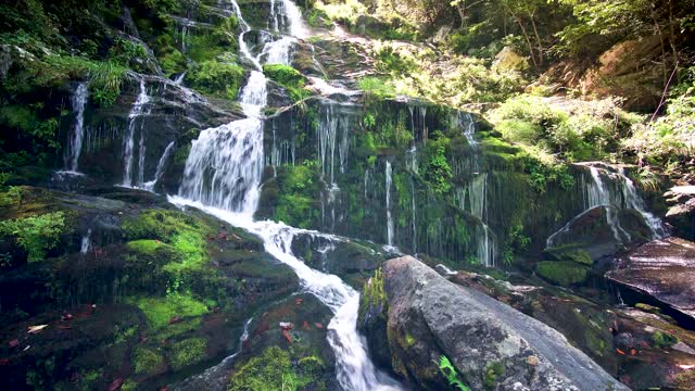 🌫1 HOUR of Relaxing Music, Calming Water, and Soothing Sounds for Meditation & Stress Relief