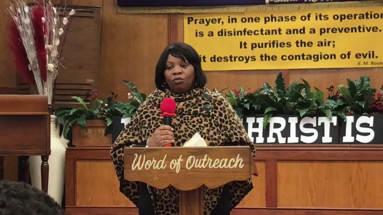 I Was Sent Here For Purpose