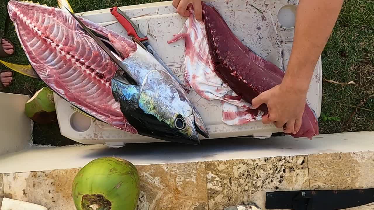 Tuna Fillet