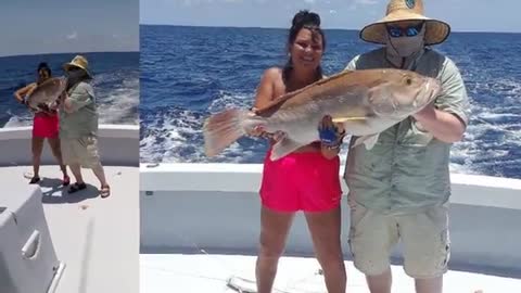 Florida Keys Deep Dropping - Yellowedge Grouper