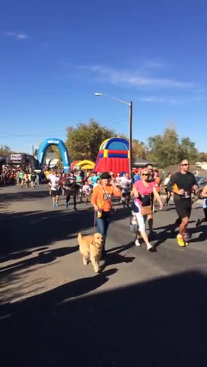 2015 MonsterDASH 10K