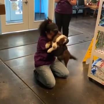 Pet dog squeals with joy on reuniting with his human,