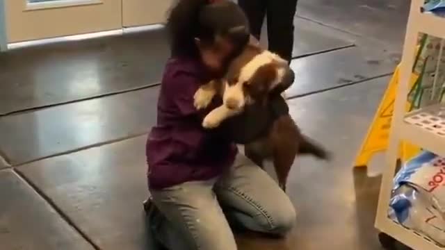 Pet dog squeals with joy on reuniting with his human,