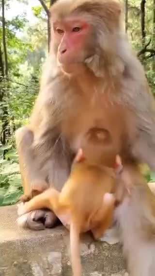 loan and son loan and son1