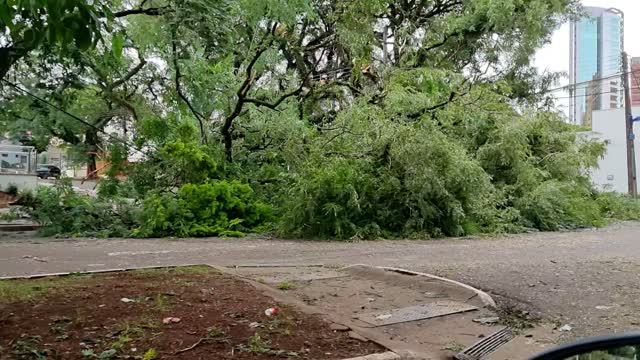 Estragos em Maringá após tempestade na madrugada de 23/abr/2022