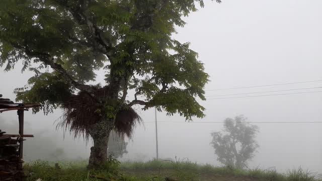 Rainy and foggy day in Nepal