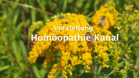 Vorstellung Homöopathie Kanal