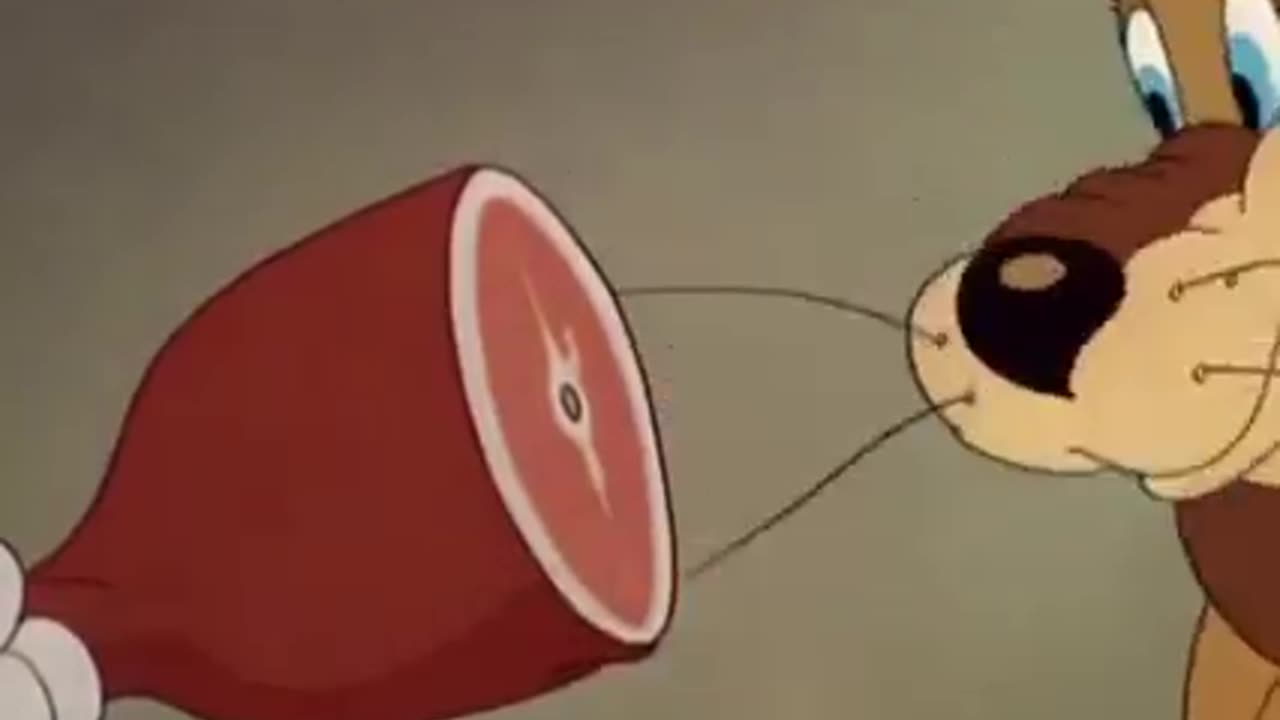 Tom and jerry video