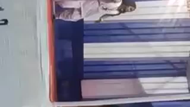 Dasi Locel Girl Hot College Dance performance Hindi song
