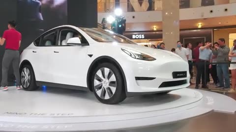Unveiling the Future: Introducing Tesla's Latest Model [2024]