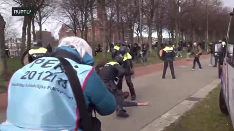 madness netherland police