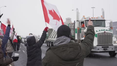Freedom Convoy Toronto 2022