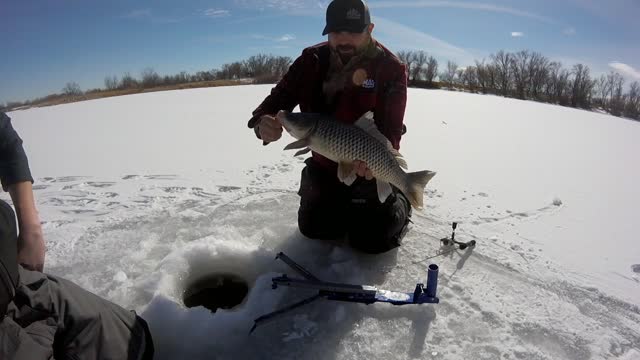 Billings Montana Carp Ice Fishing