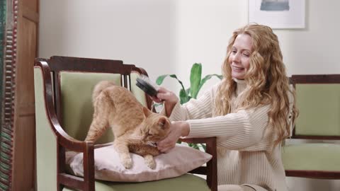 A Woman Brushing Her Cat