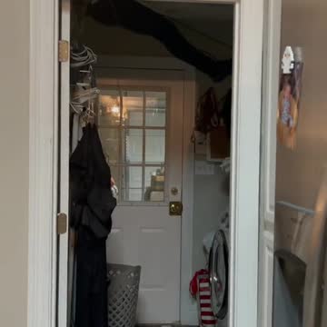 funny|prank|jokes|funny jokes|dad jokes|funny memes|funny video|fun|laughing|funny animal|knock