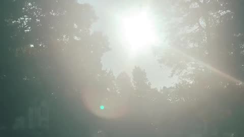 Peaceful Morning #shorts