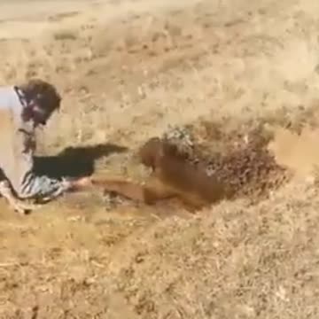 Guys work together to rescue a baby cow stuck in an underground hole.. 🐄🕳️👬🙏❤️