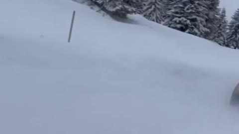 GTR Lost in the Alps