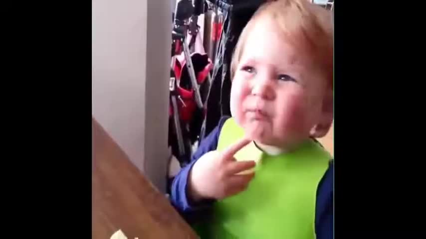 funny baby videos/Cute Funny Baby Videos