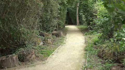 Le lac de Bambois