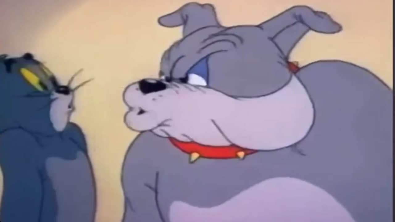 Tom and jerry dub