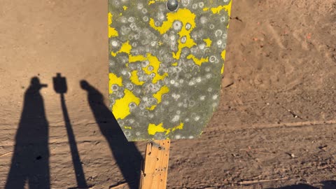 PSA AR-15