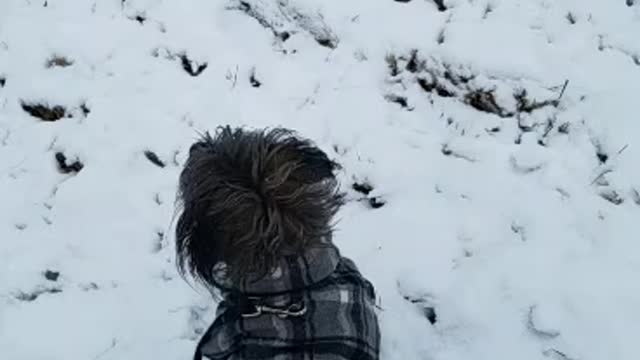 Snow day