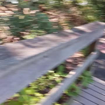 Sweet arrow lake park part6